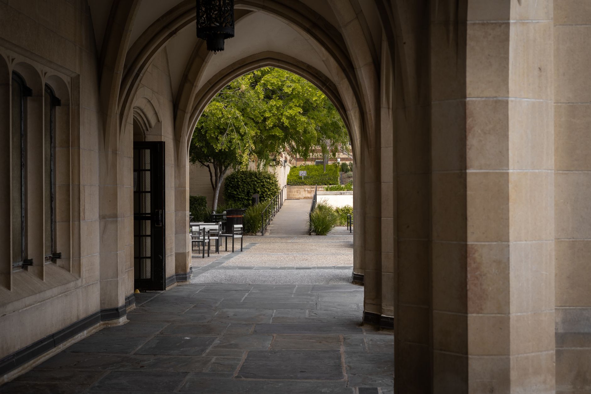 Tree-shaded pedestrian path on Rice University campus in Houston Texas