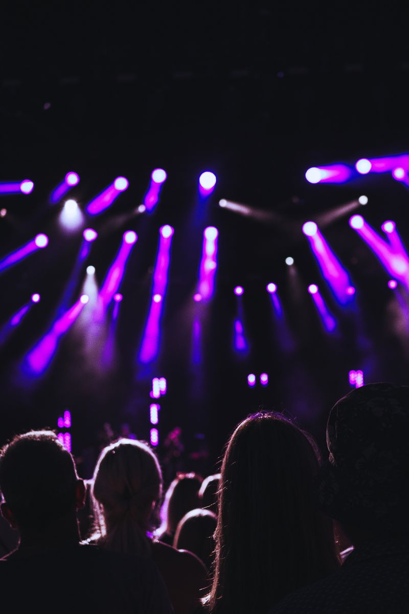 Silhouettes of a concert crowd under purple and white stage lights, no identifiable venue or performer.