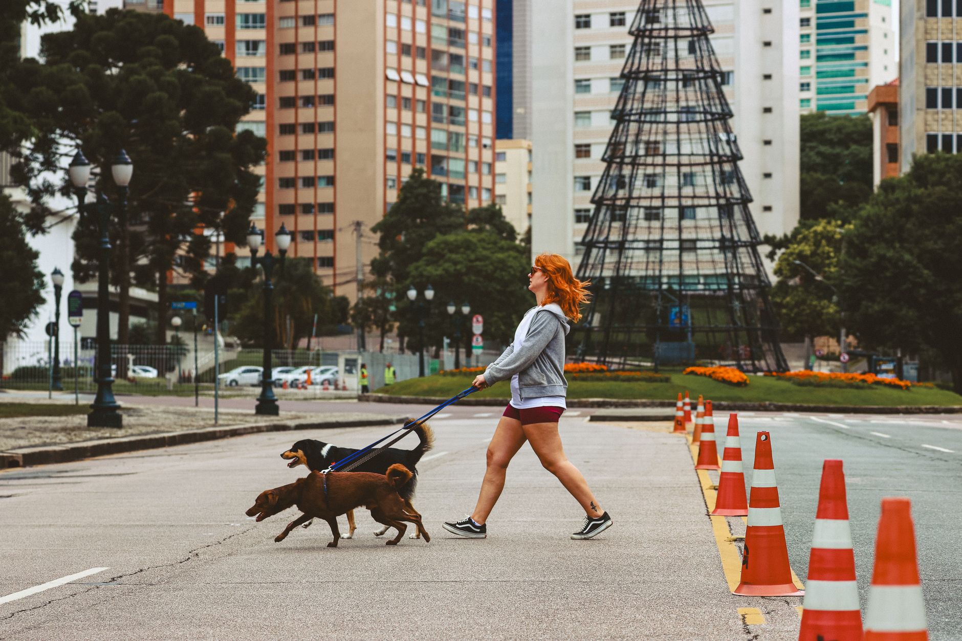 leaseradius-1789305073100 A woman walks two dogs down a city street, showcasing urban life and pet companionship.