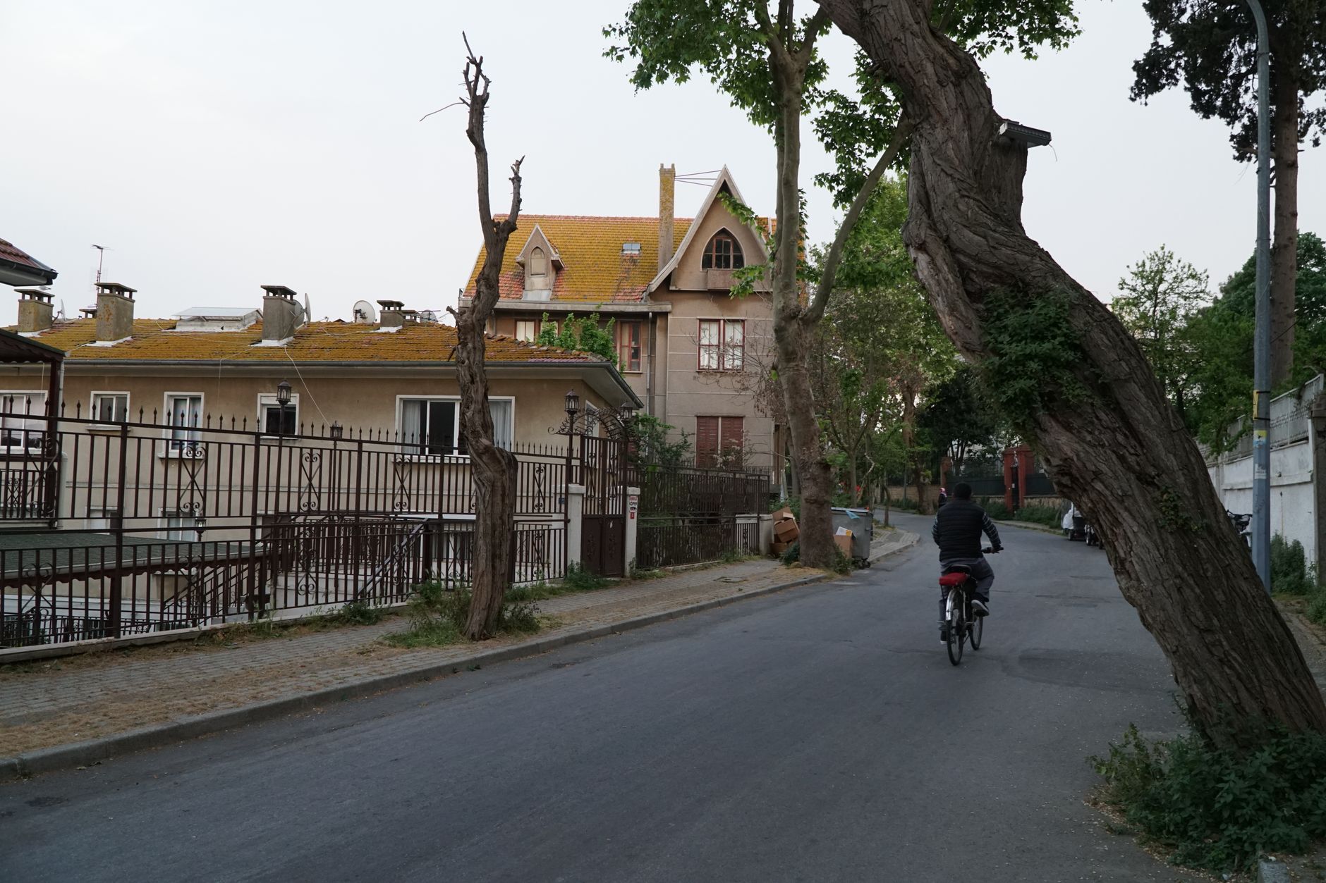 leaseradius-1789911379262 Cyclist rides down a peaceful suburban street lined with trees and classic homes.